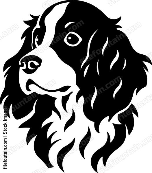 Brittany Spaniel