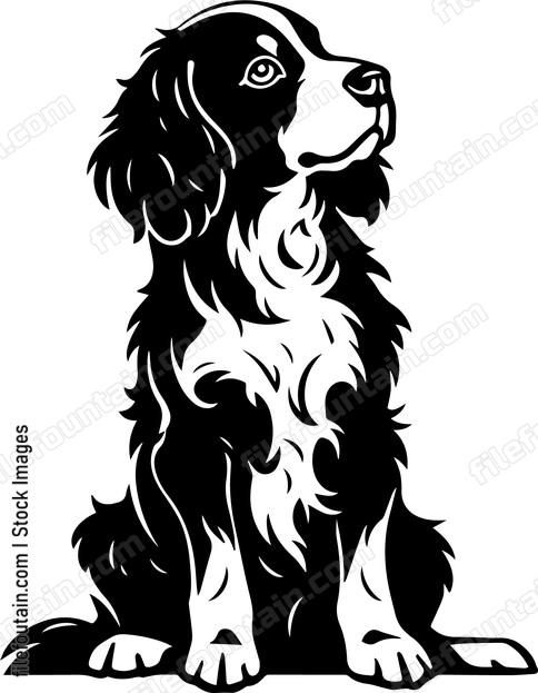 Brittany Spaniel