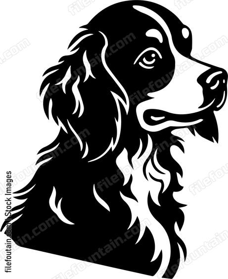 Brittany Spaniel