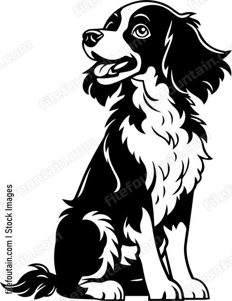 Brittany Spaniel