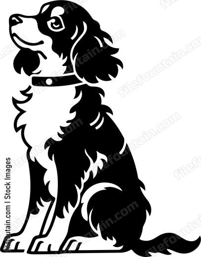 Brittany Spaniel
