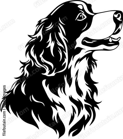 Brittany Spaniel