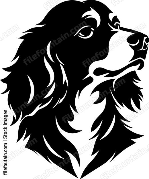 Brittany Spaniel