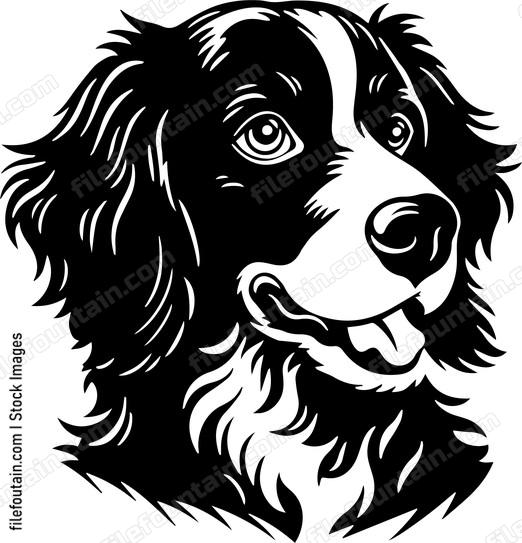 Brittany Spaniel