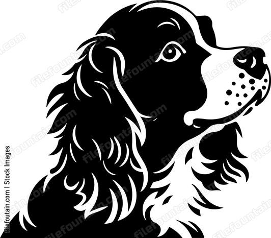 Brittany Spaniel