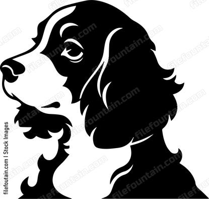 Brittany Spaniel