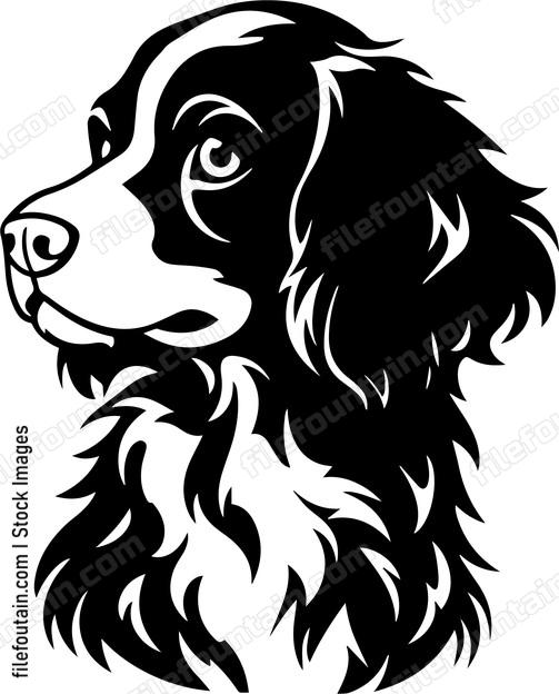 Brittany Spaniel