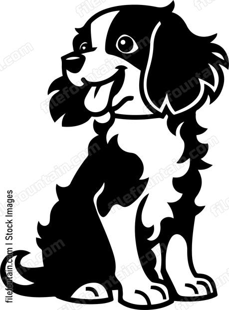 Brittany Spaniel