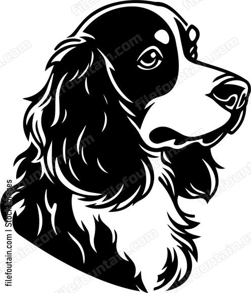 Brittany Spaniel