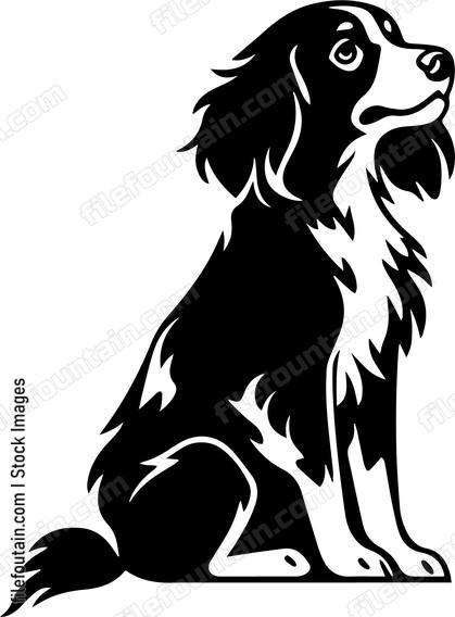 Brittany Spaniel