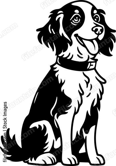 Brittany Spaniel