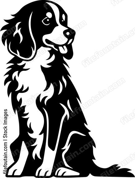 Brittany Spaniel