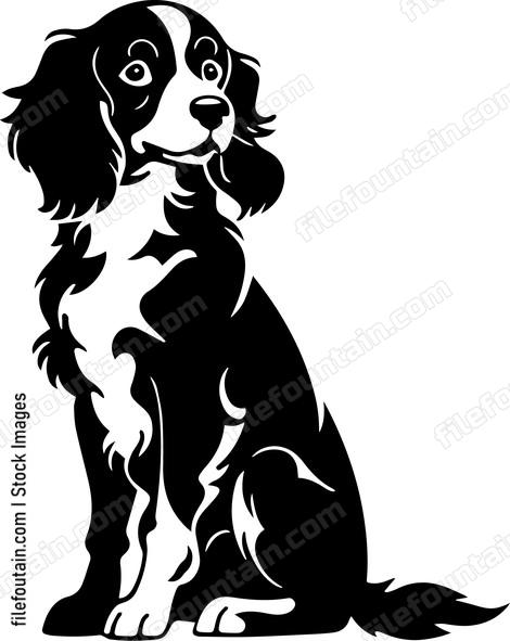 Brittany Spaniel