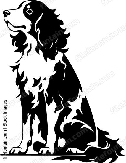 Brittany Spaniel