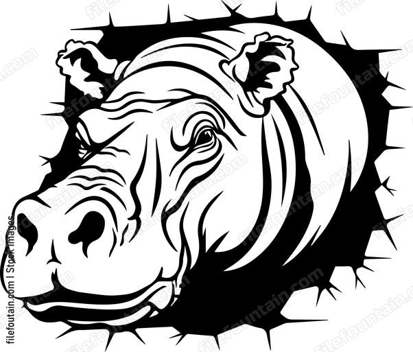 Broken Wall Hippo