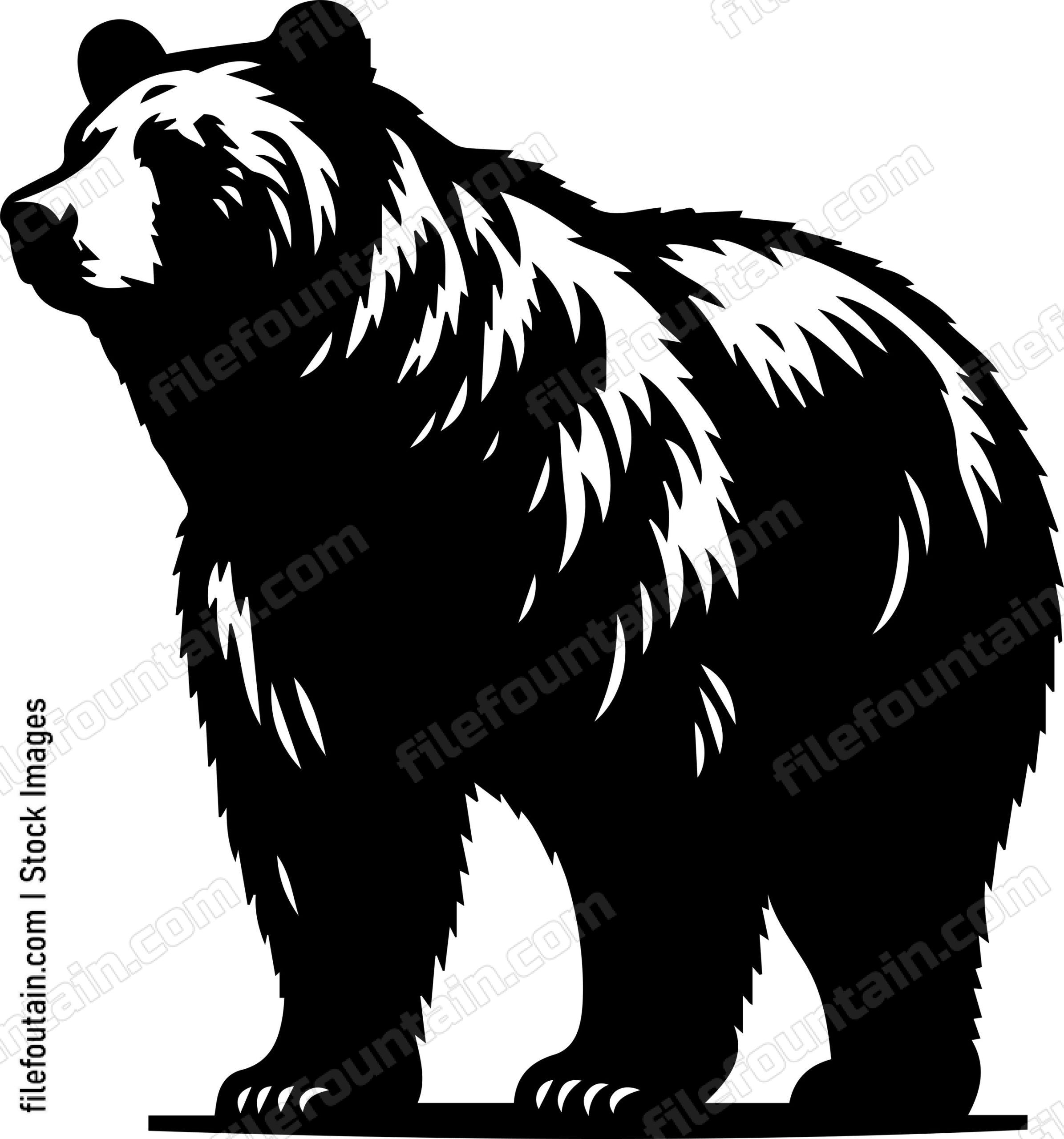 Brown Bear