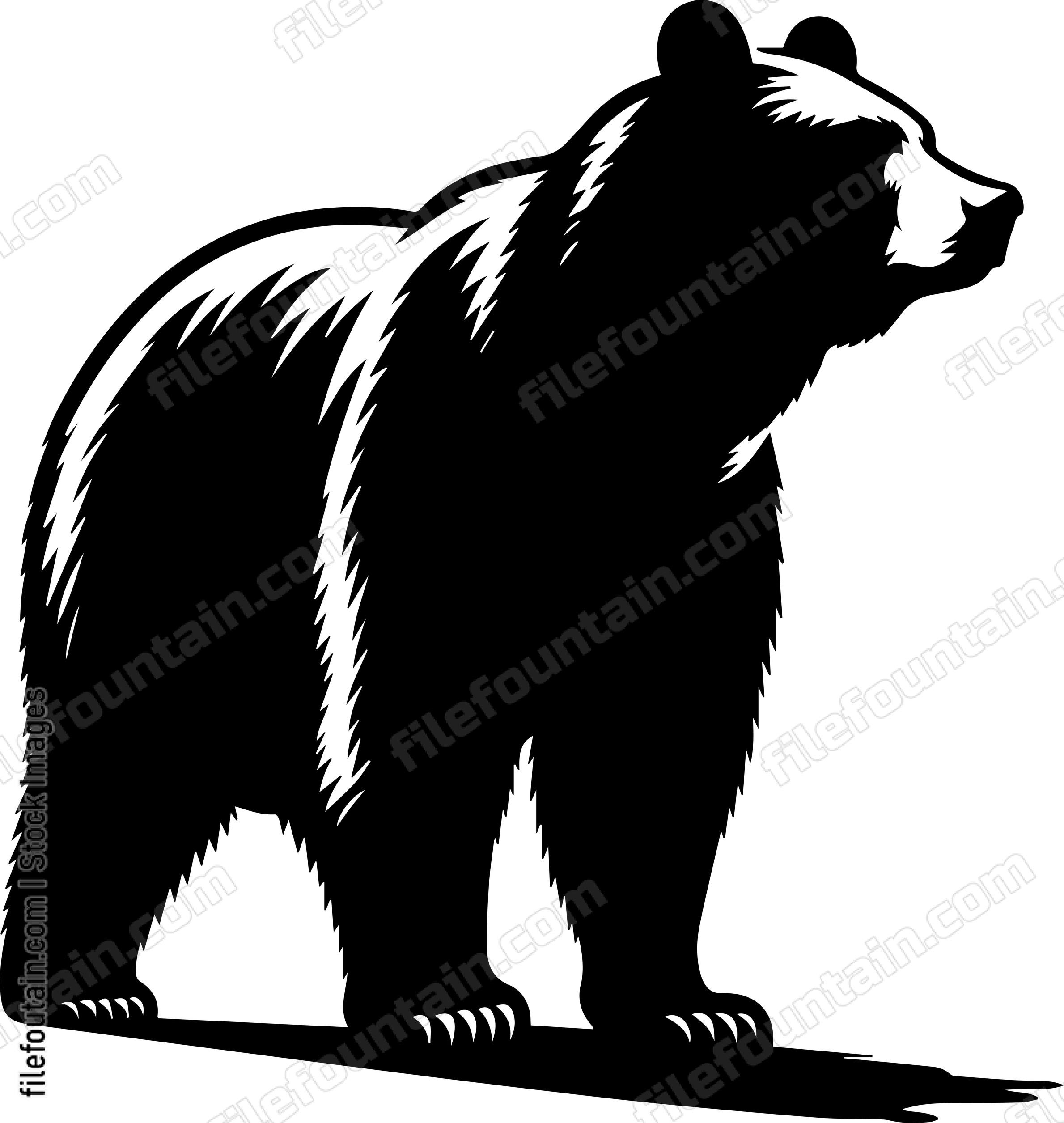 Brown Bear