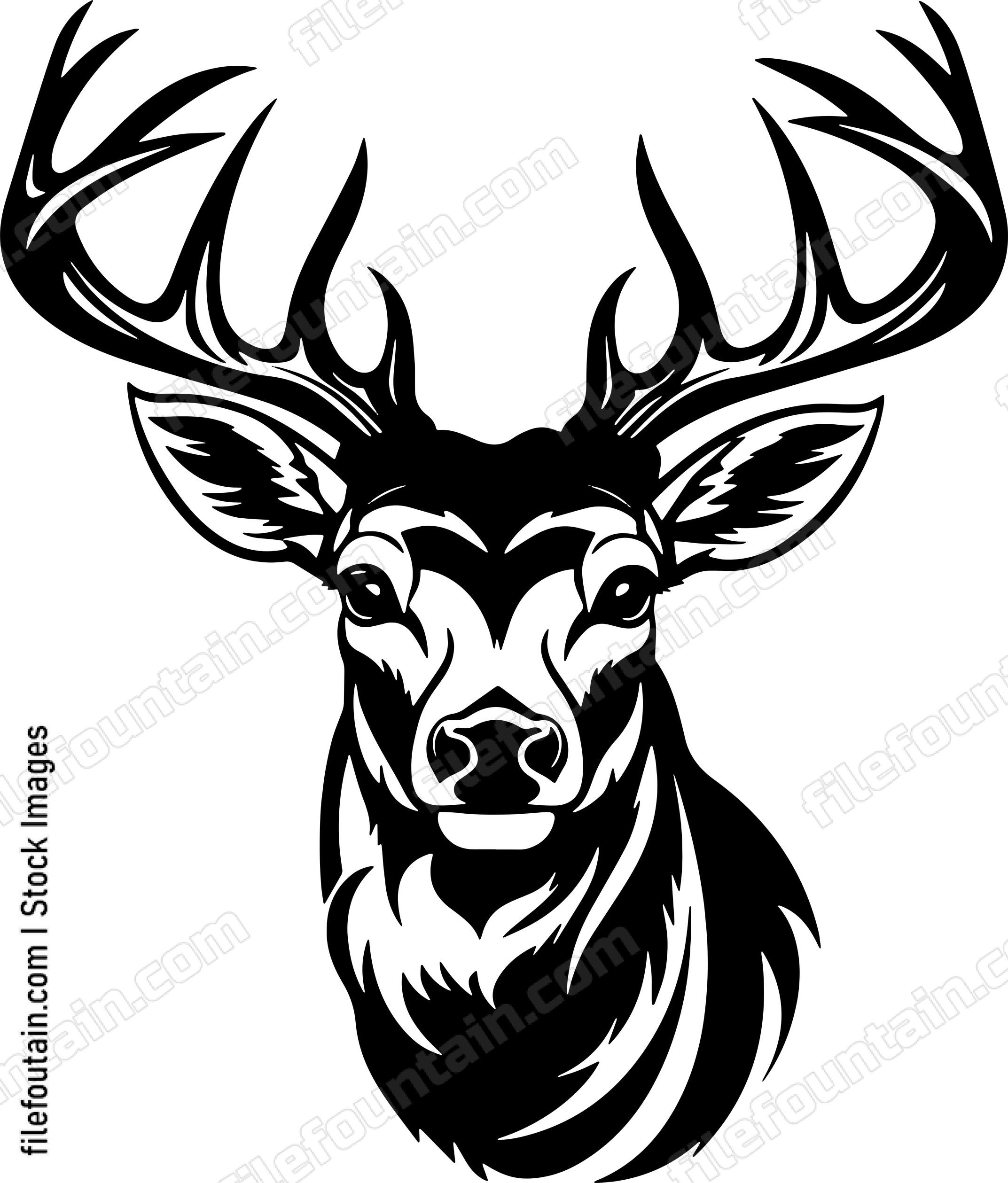 Buck