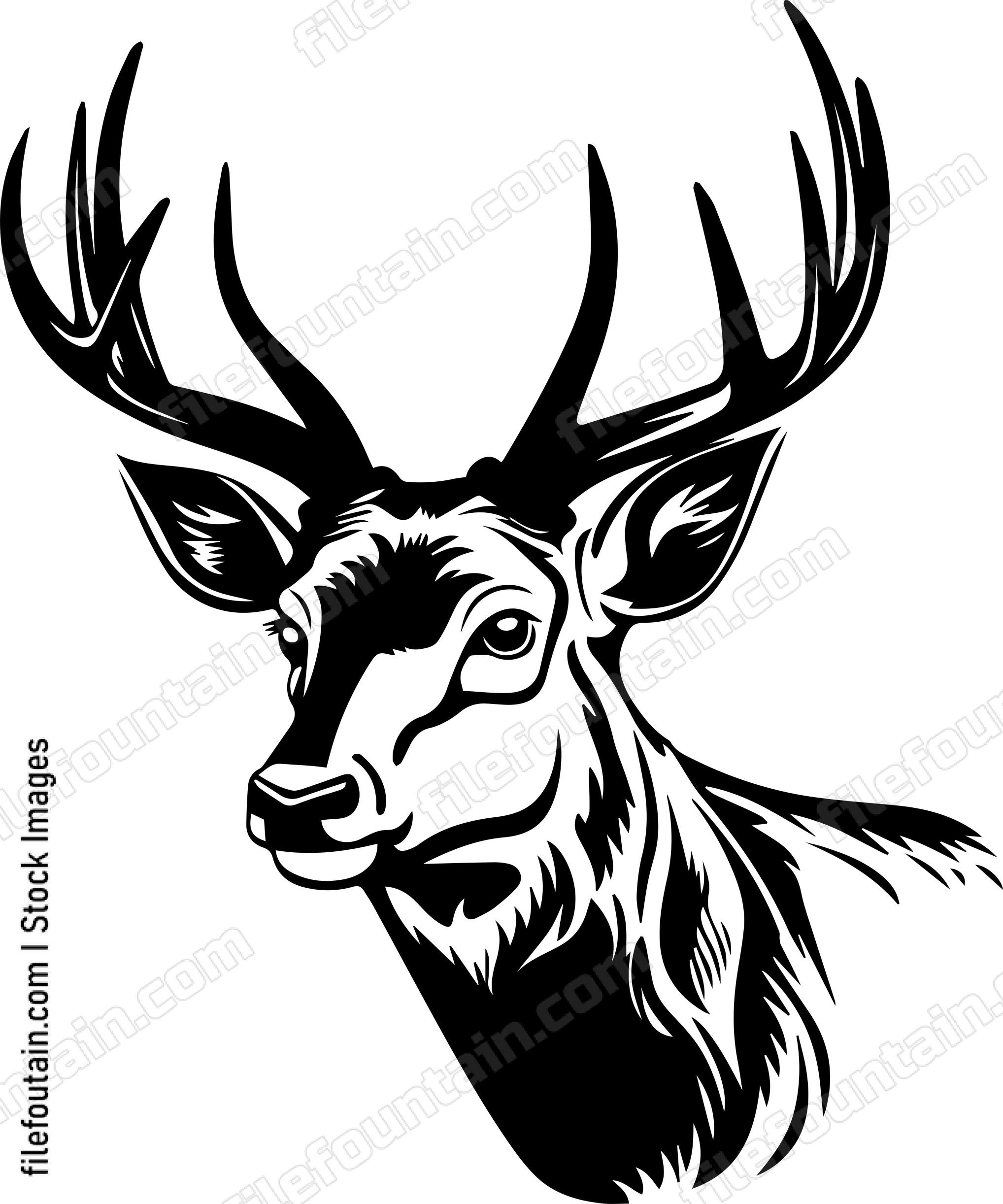 Buck
