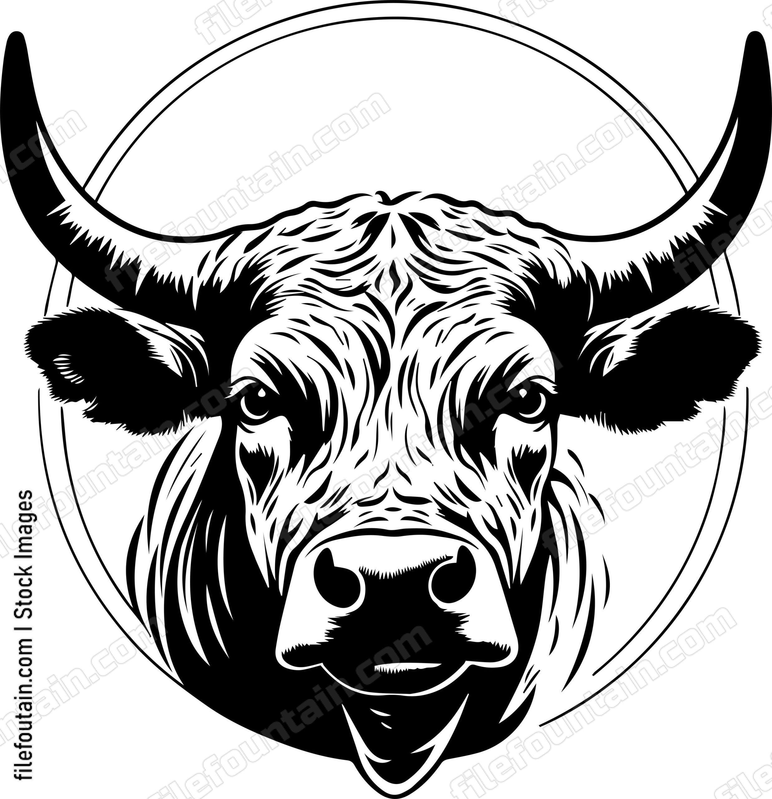 Bull