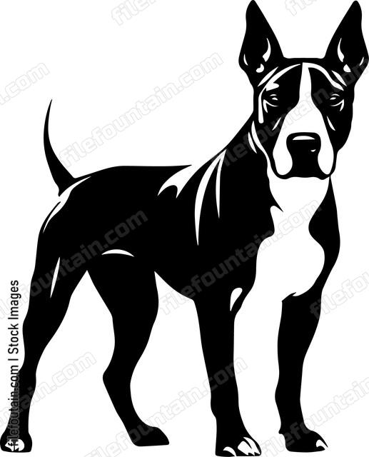 Bull Terrier