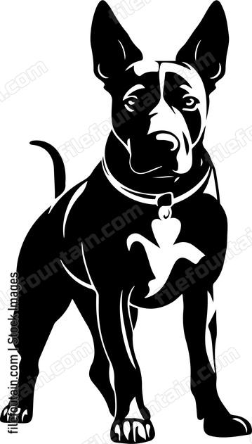 Bull Terrier