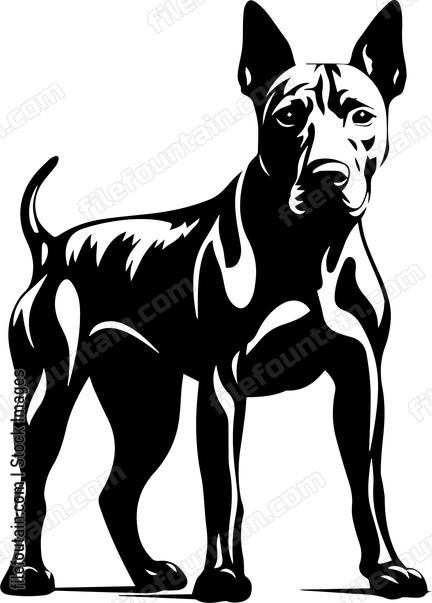 Bull Terrier