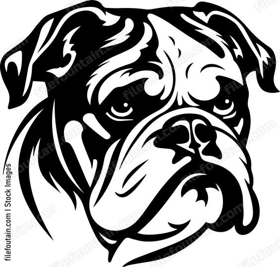 Bulldog