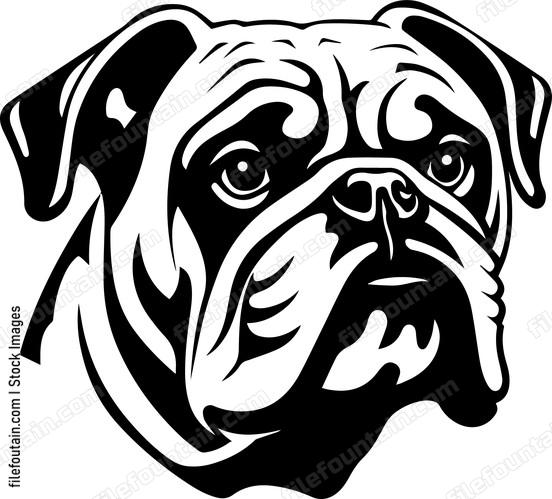 Bulldog