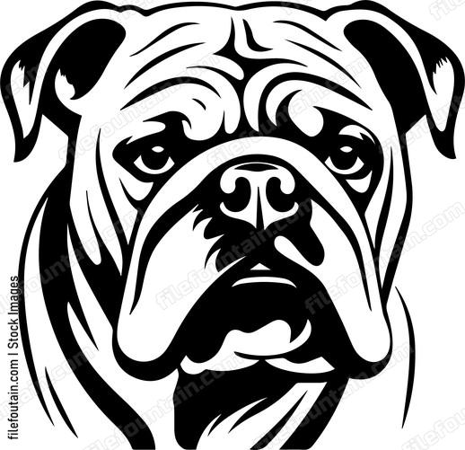 Bulldog