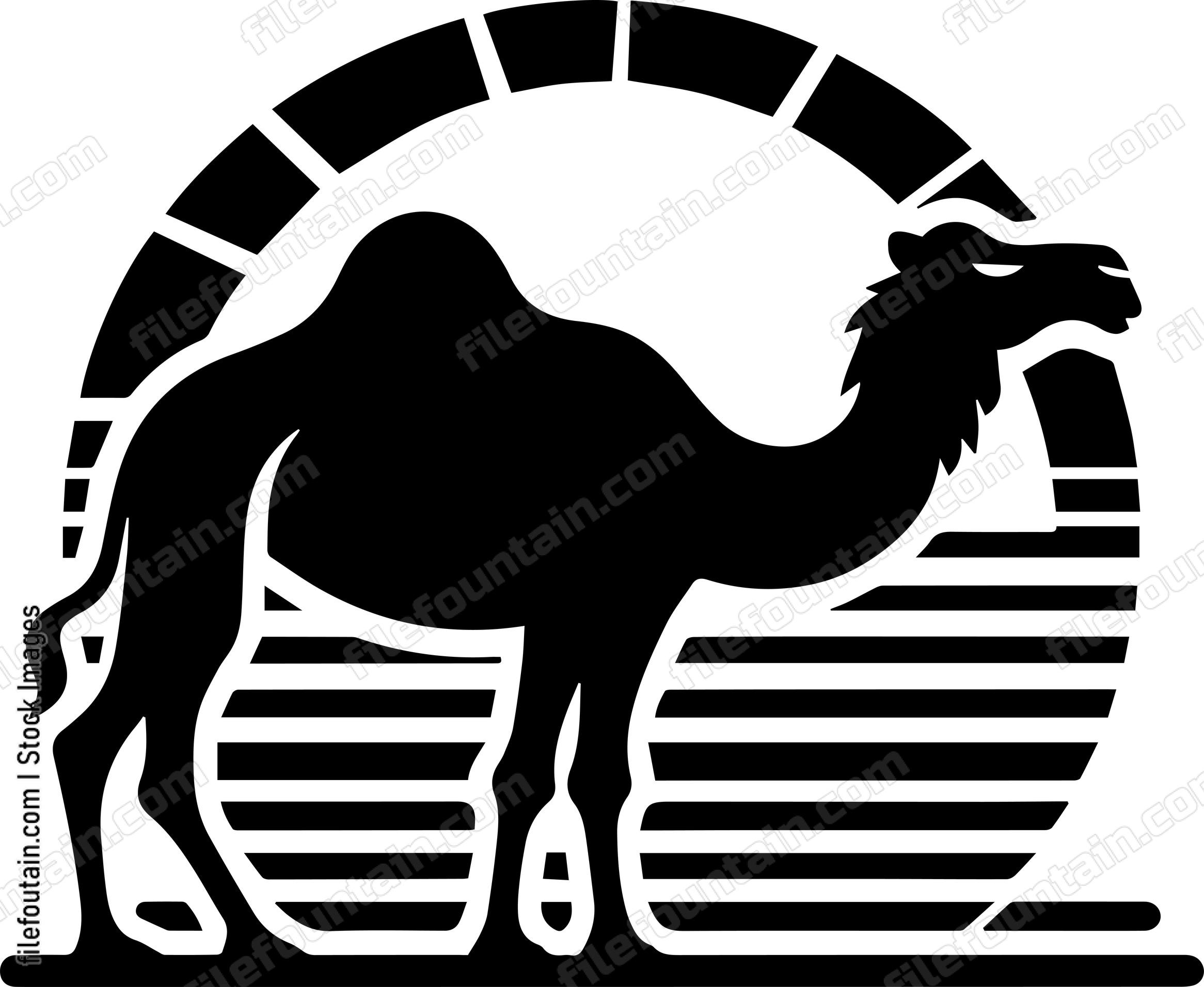 Camel