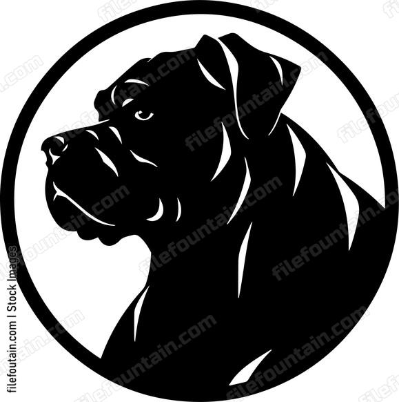 Cane Corso