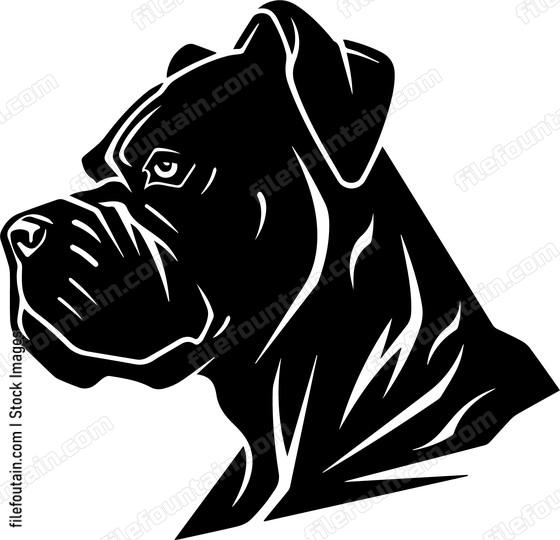 Cane Corso
