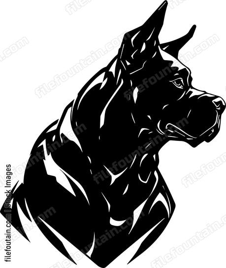 Cane Corso
