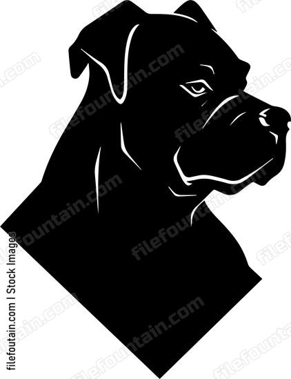 Cane Corso