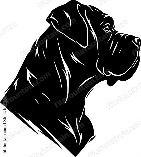 Cane Corso