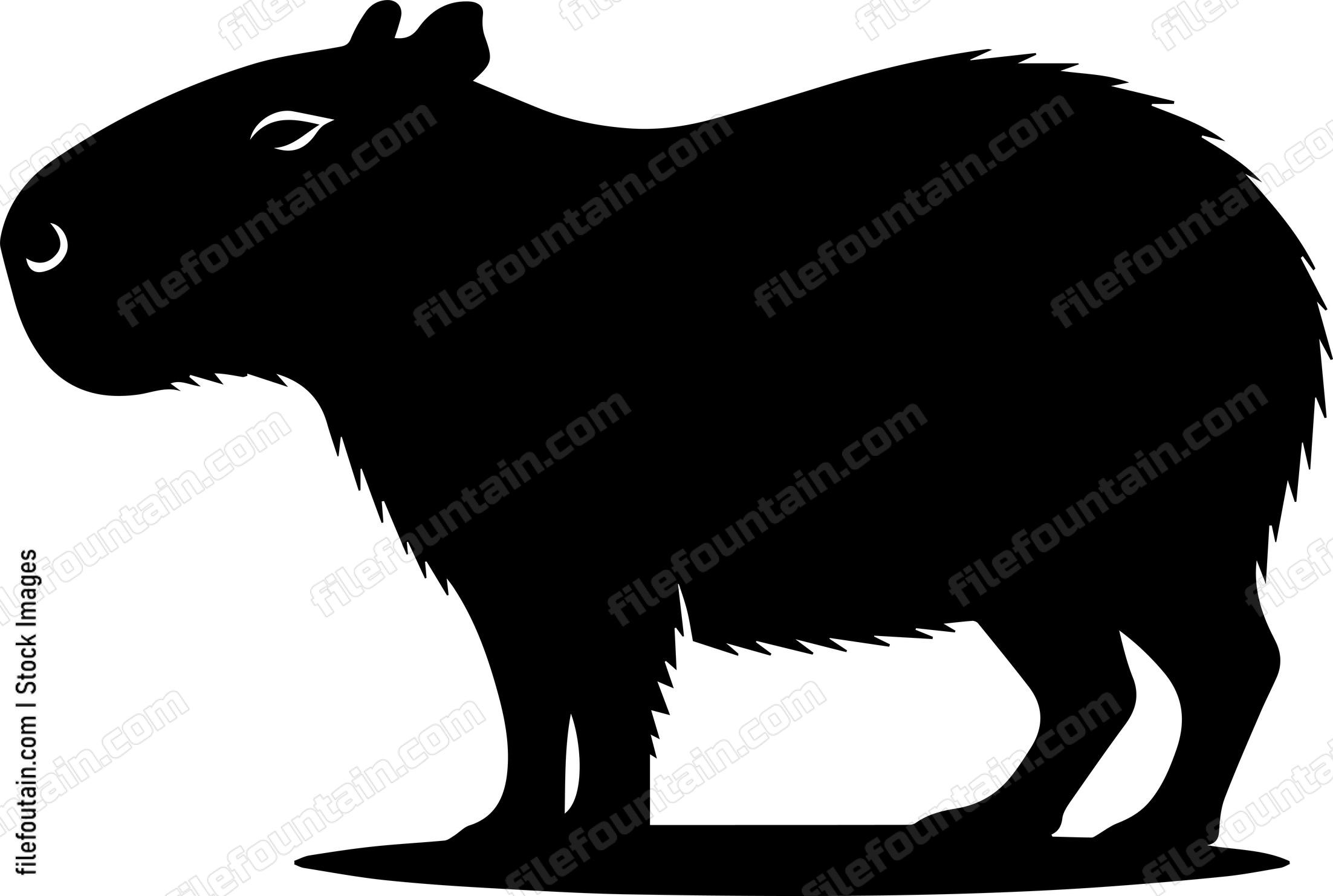 Capybara