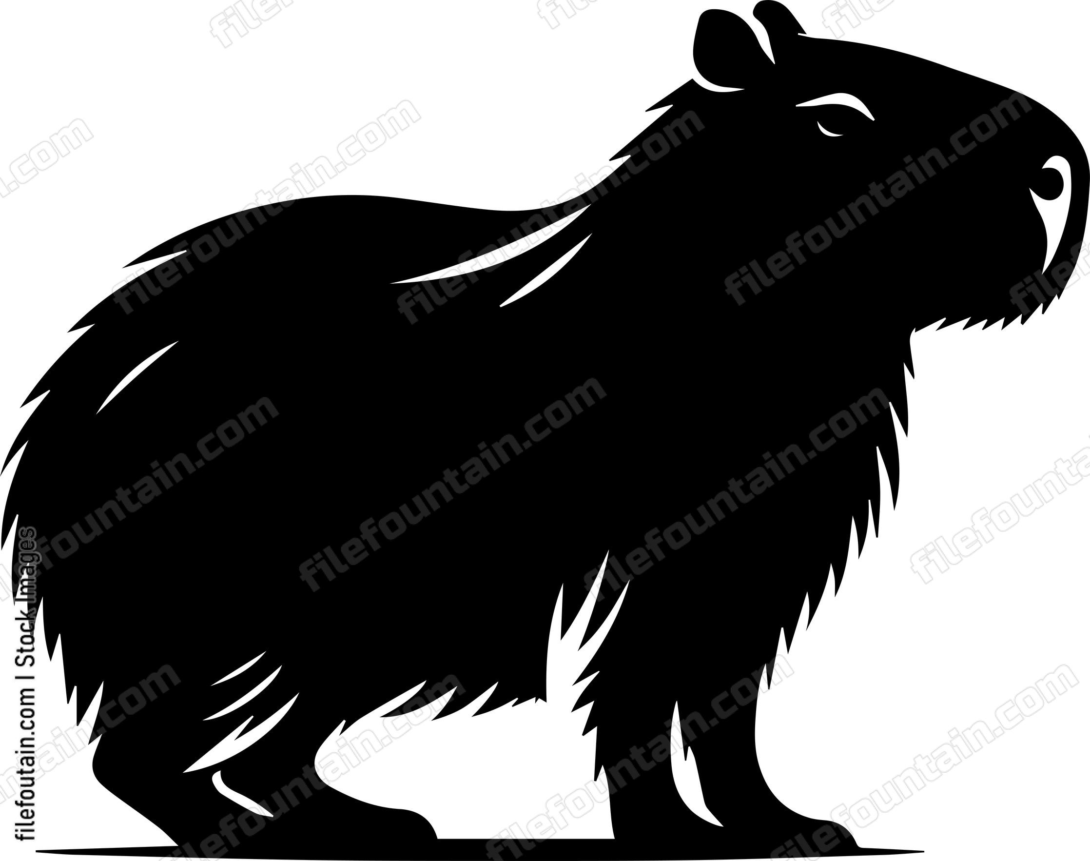 Capybara