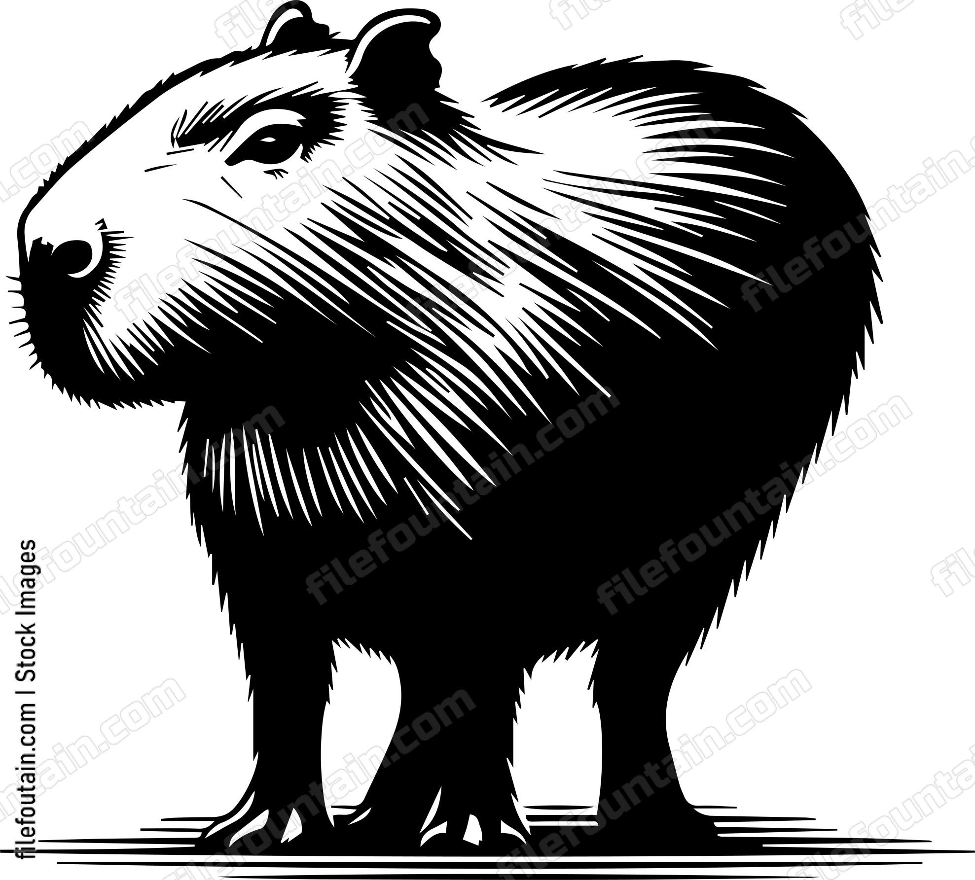 Capybara