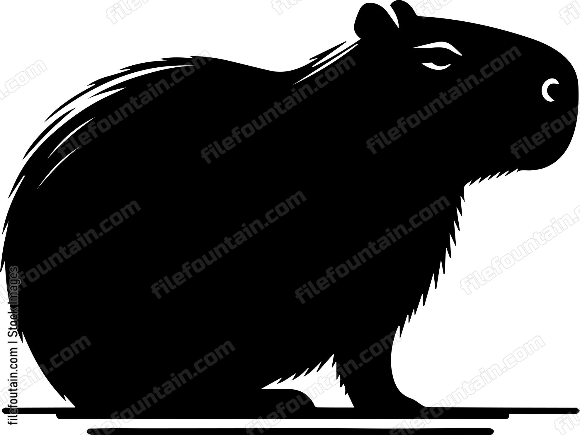 Capybara