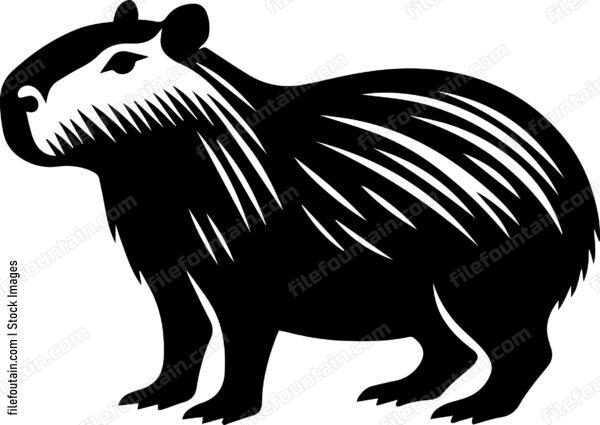 Capybara