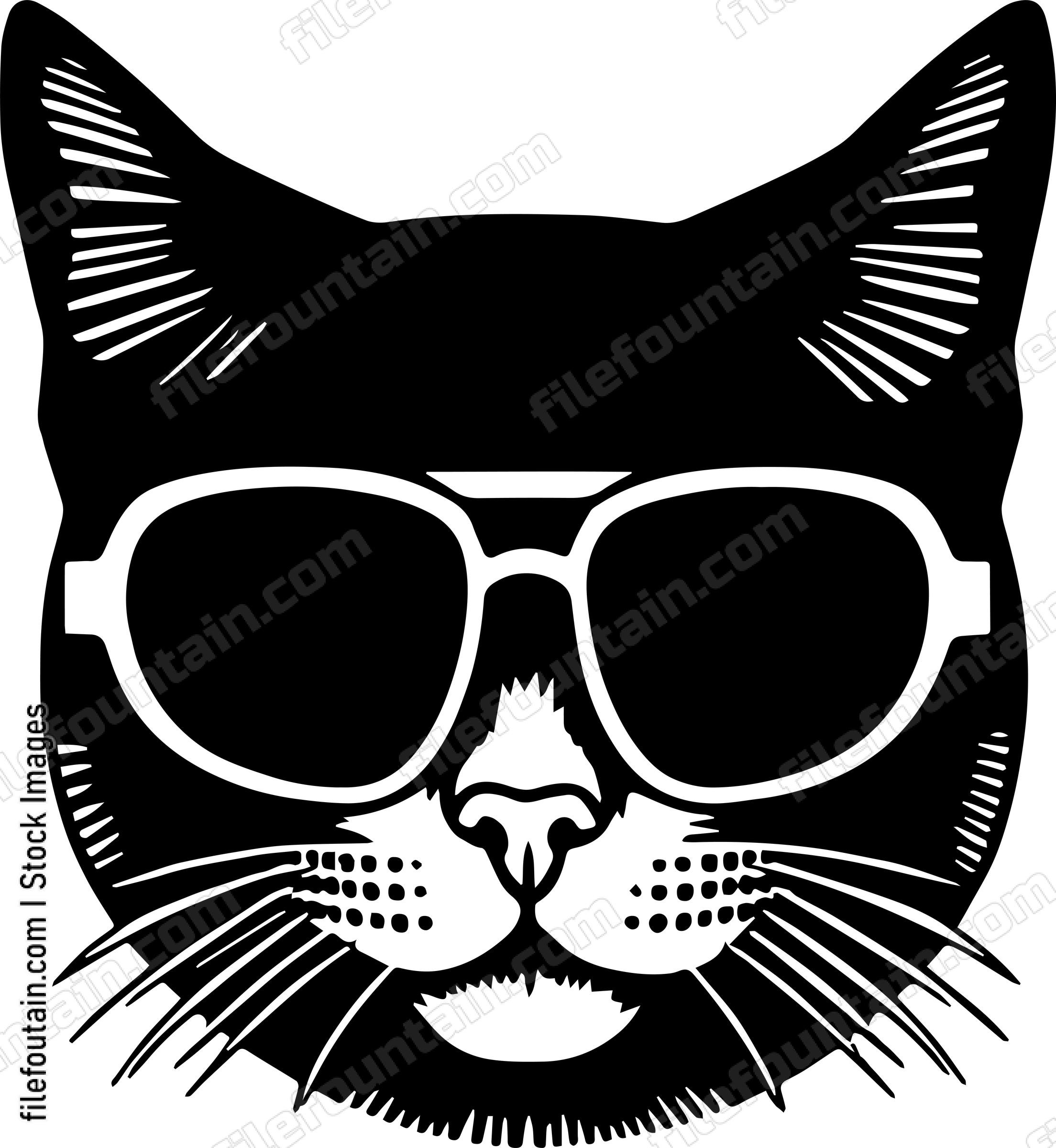 Cat In Sunglasses