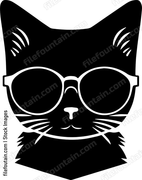 Cat In Sunglasses