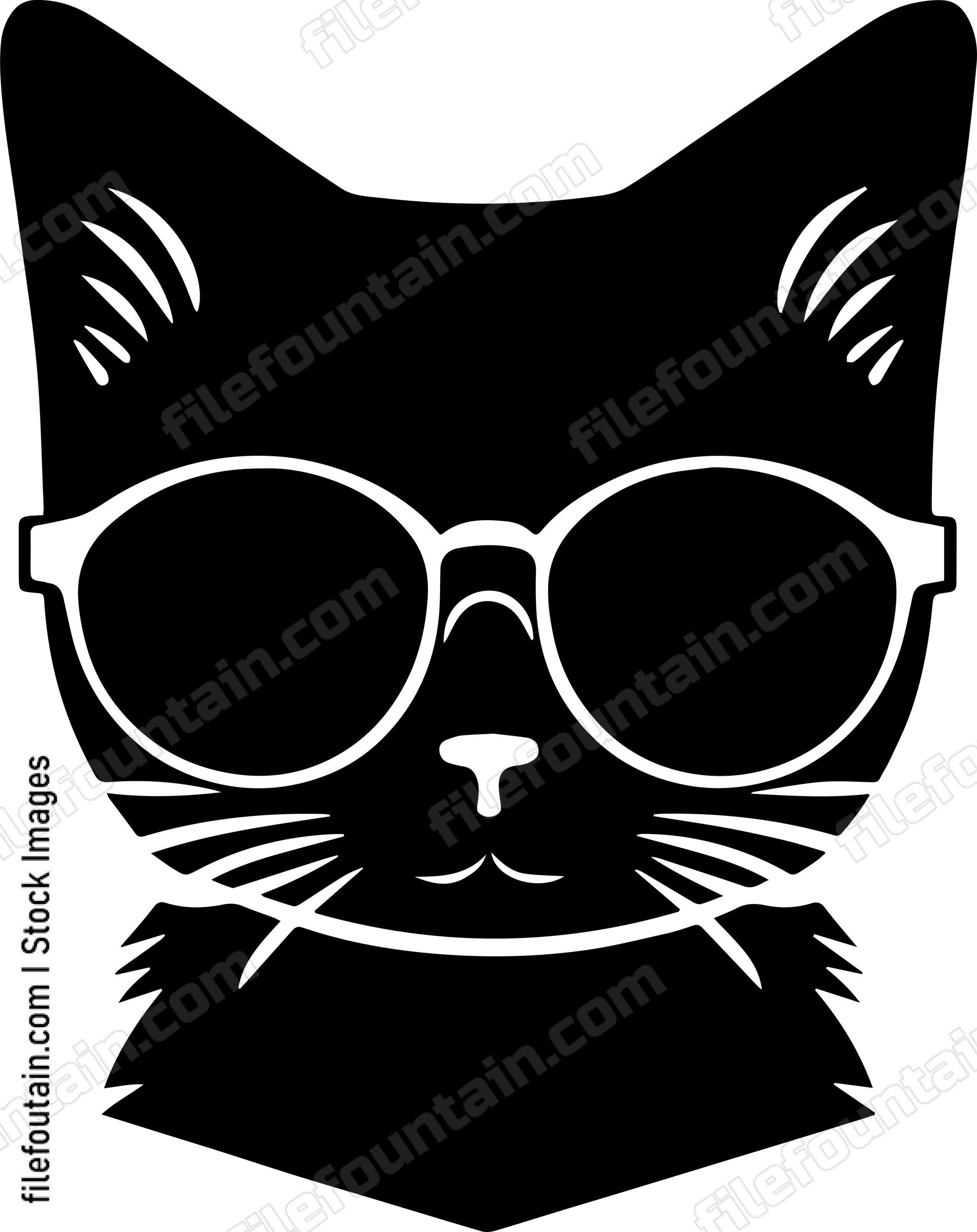 Cat In Sunglasses