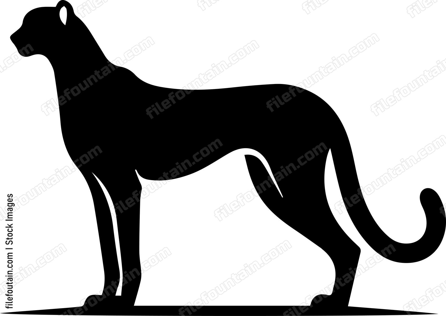 Cheetah