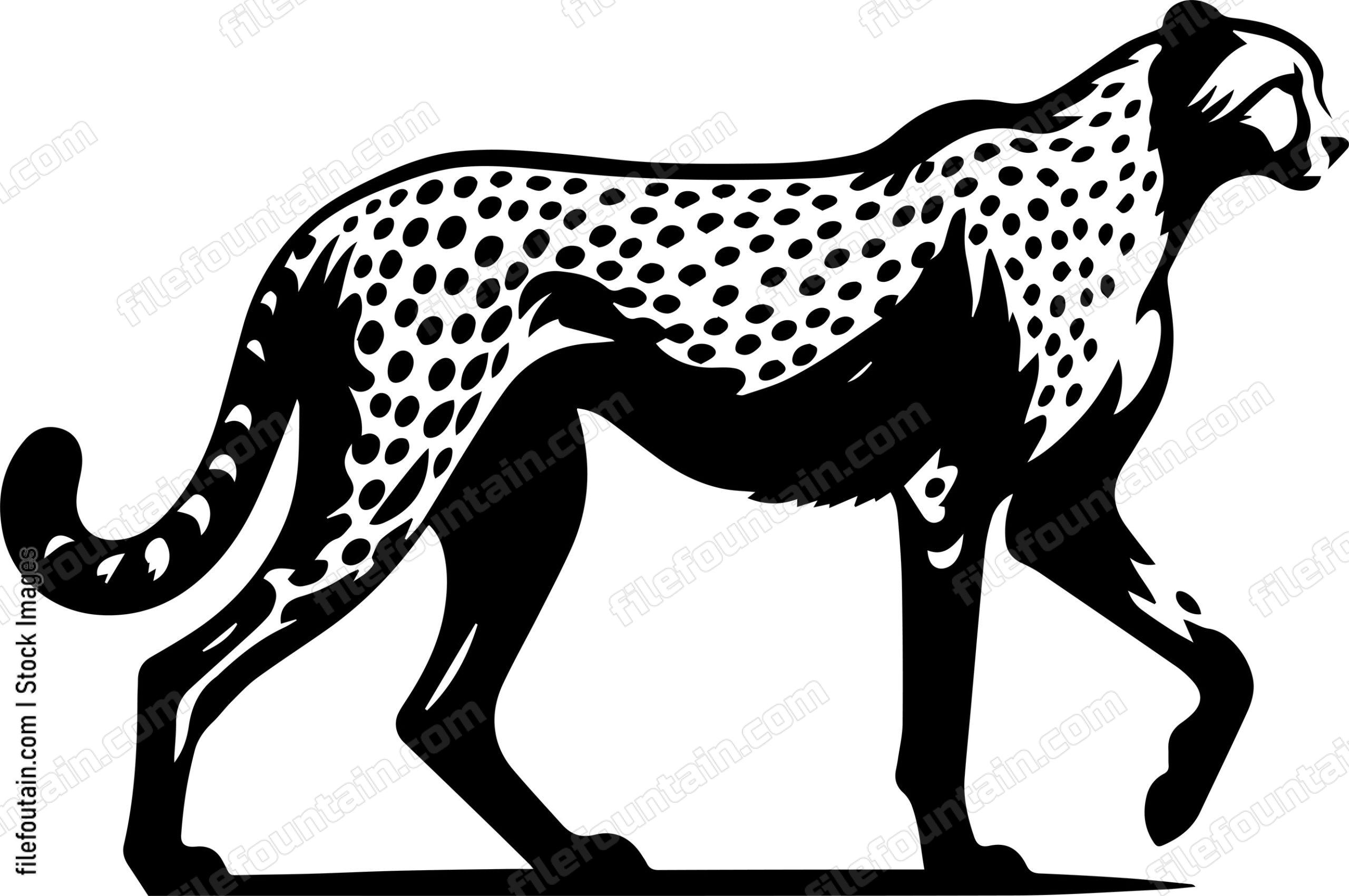 Cheetah