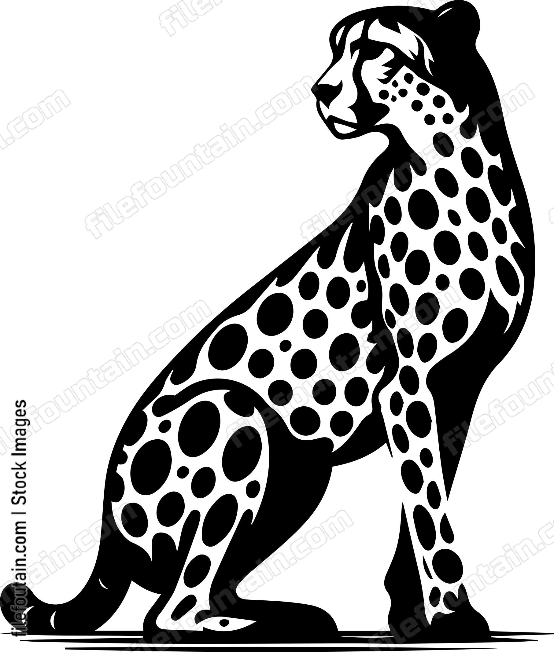 Cheetah