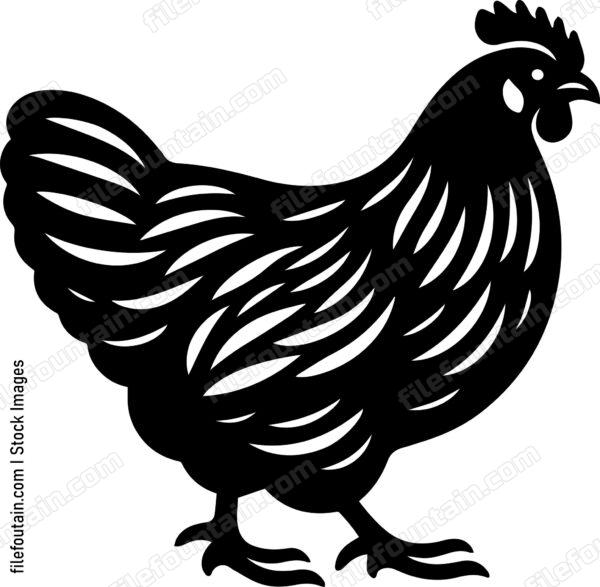 Chicken