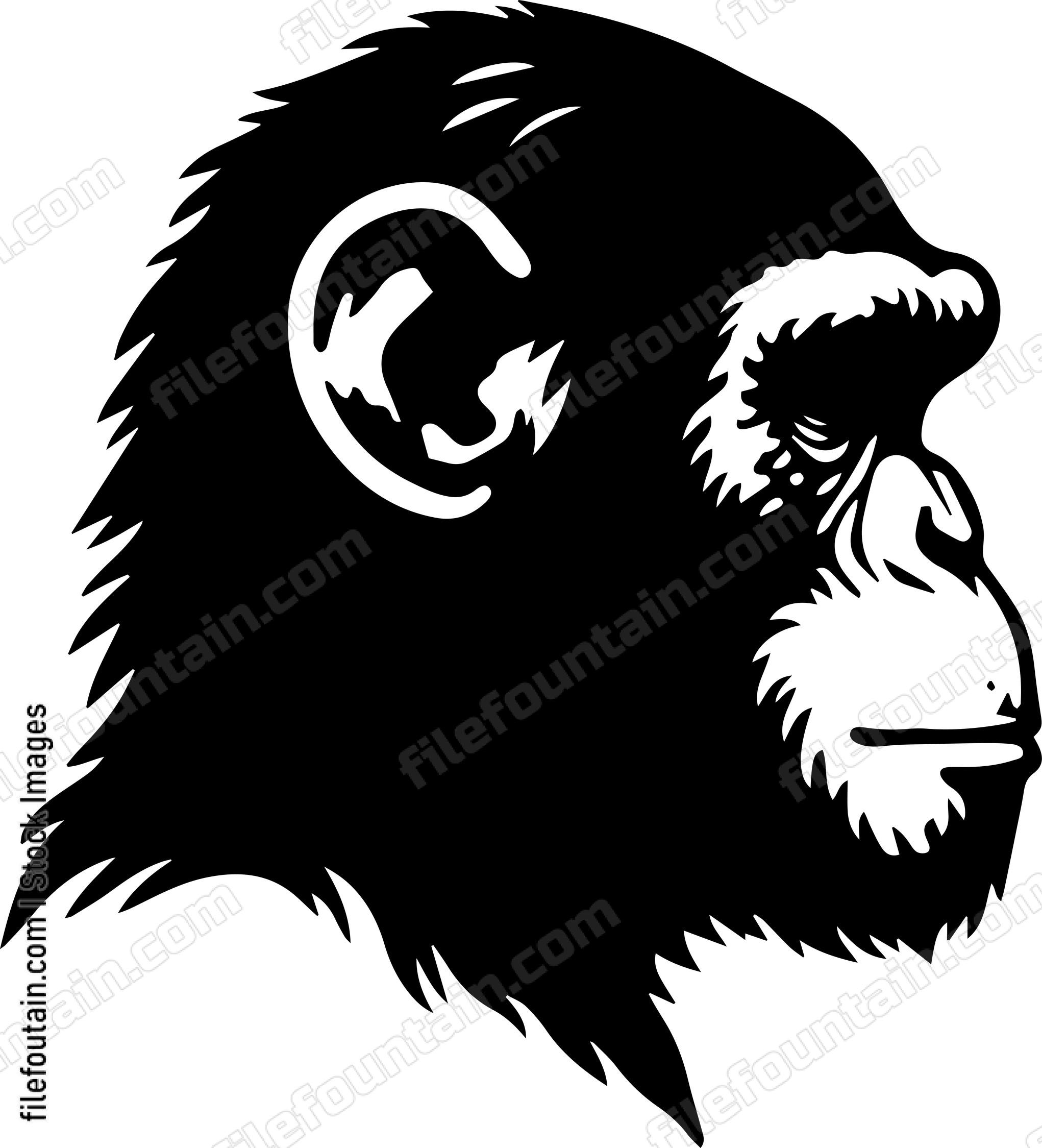Chimp
