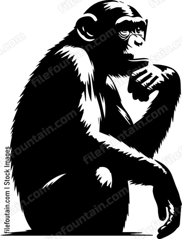 Chimp